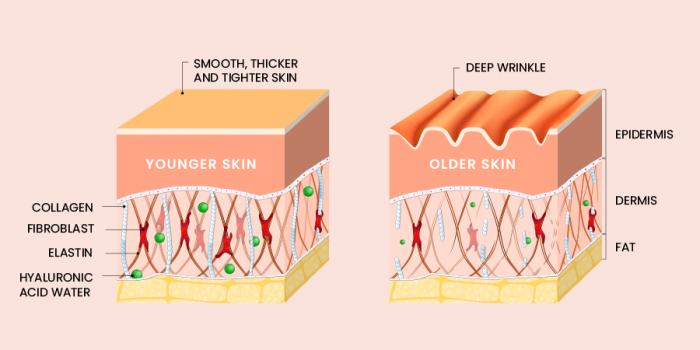 The skin is not the only thing on your face that ages – Glowinface